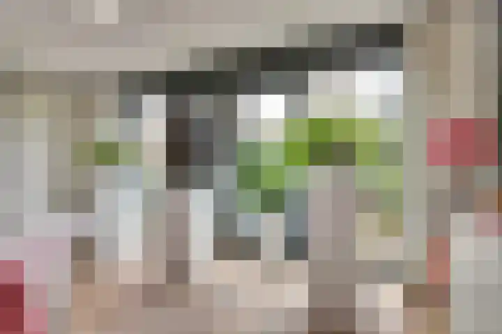 Koningin Beatrixlaan 48 Slootdorp thumbnail 14