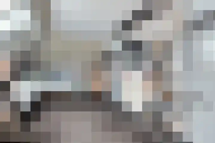 Koningin Beatrixlaan 48 Slootdorp thumbnail 25