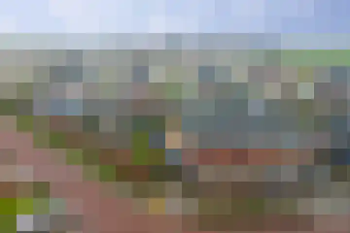 Koningin Beatrixlaan 48 Slootdorp thumbnail 32
