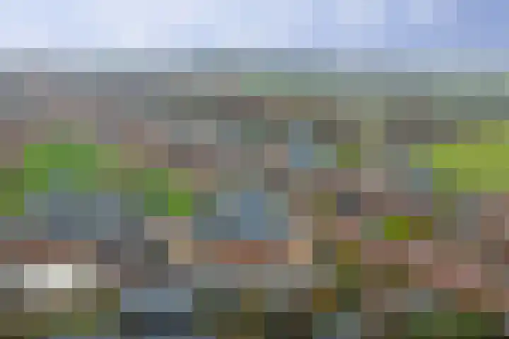 Koningin Beatrixlaan 48 Slootdorp thumbnail 33