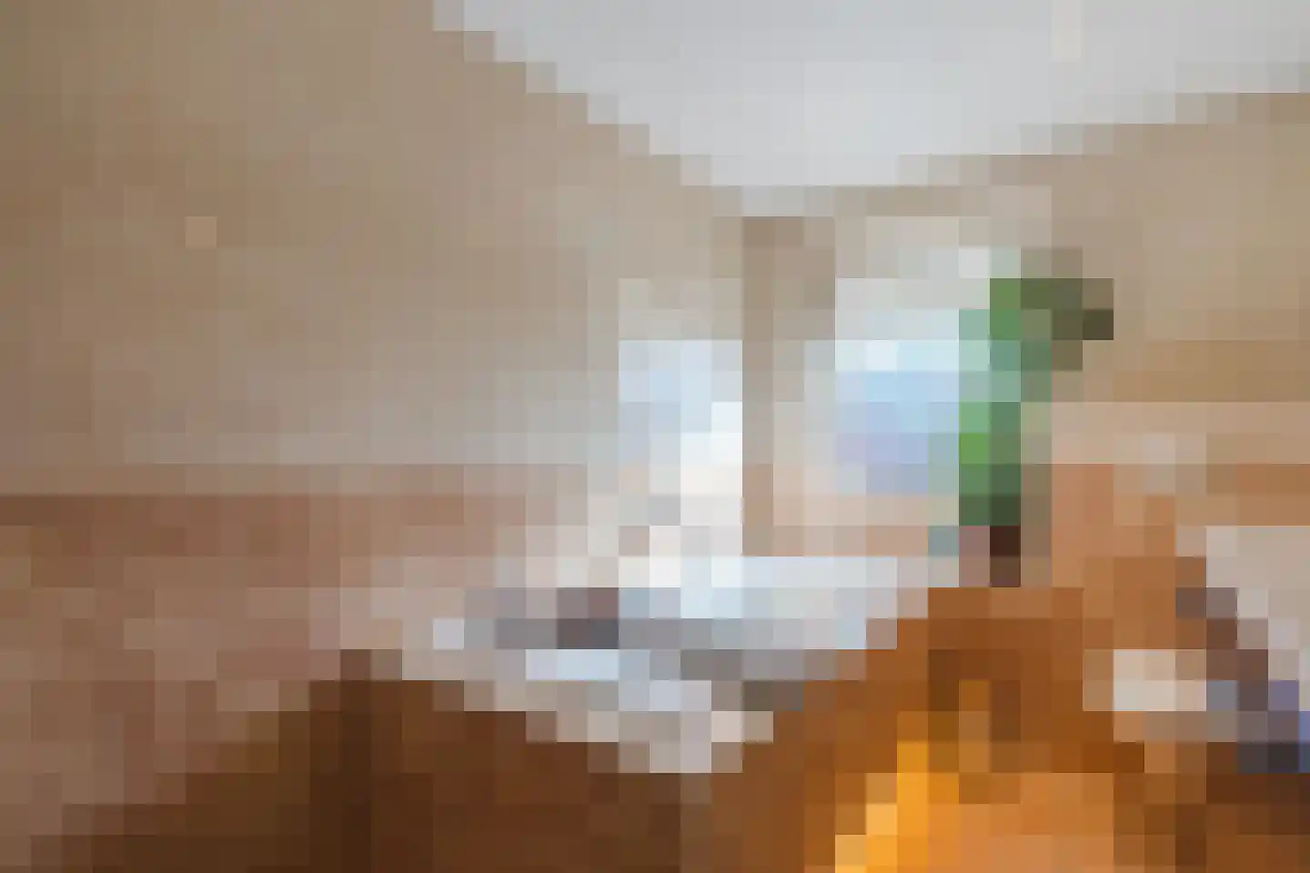 Koningin Beatrixlaan 6 a Vroomshoop thumbnail 33