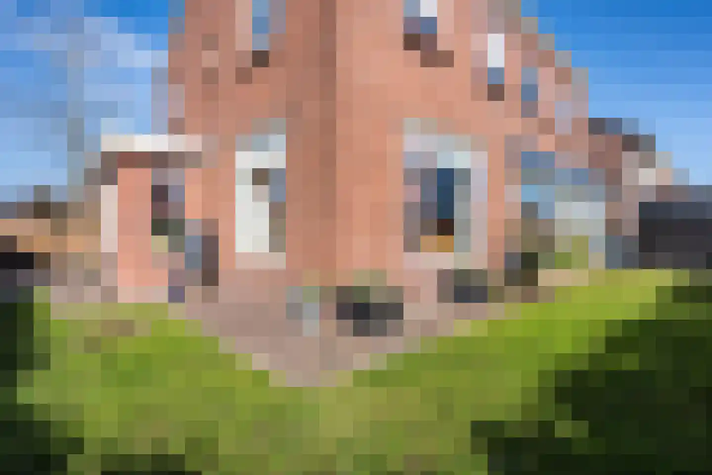 Koningin Beatrixlaan 6 a Vroomshoop thumbnail 41