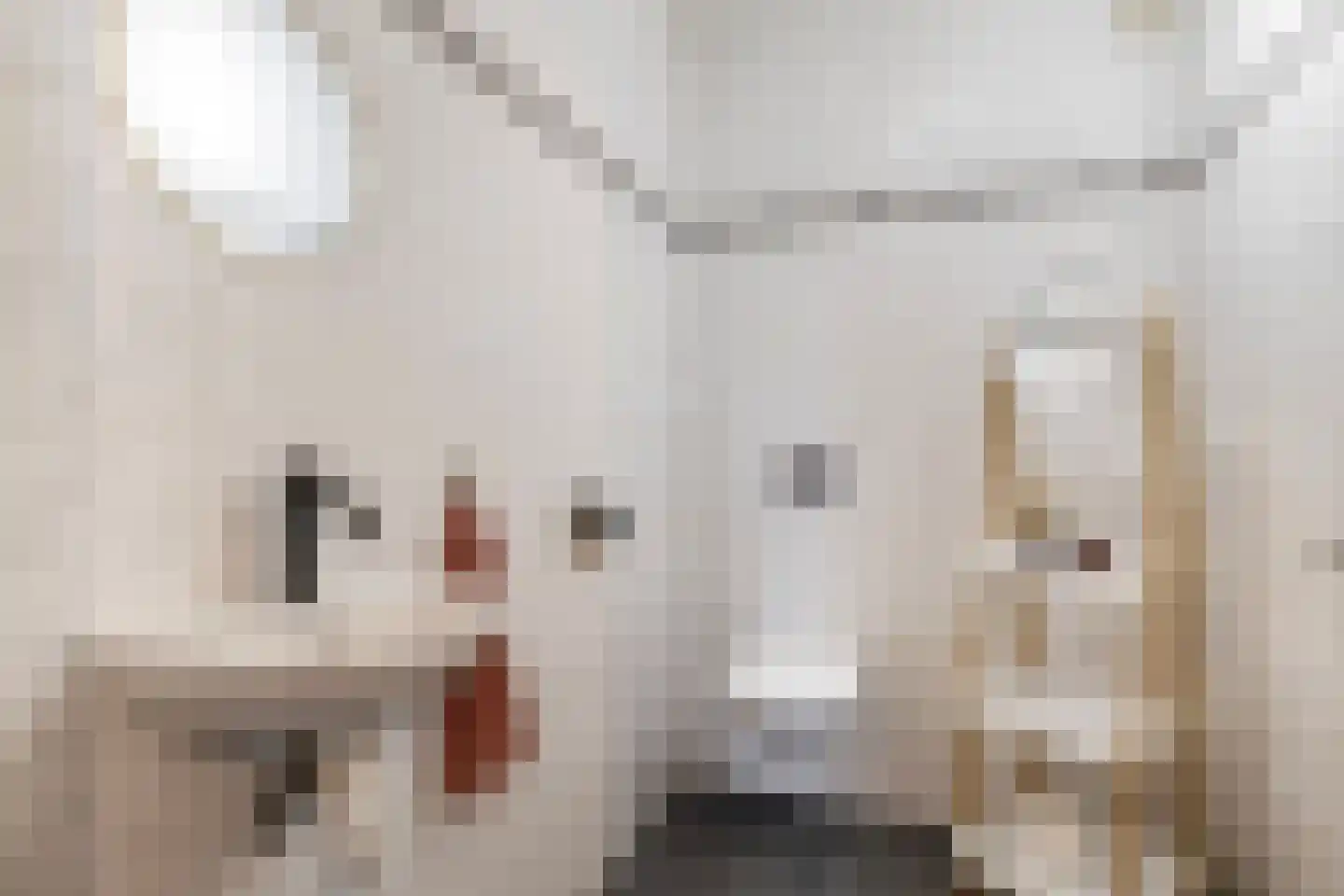 Koningin Beatrixlaan 66 Slootdorp thumbnail 47