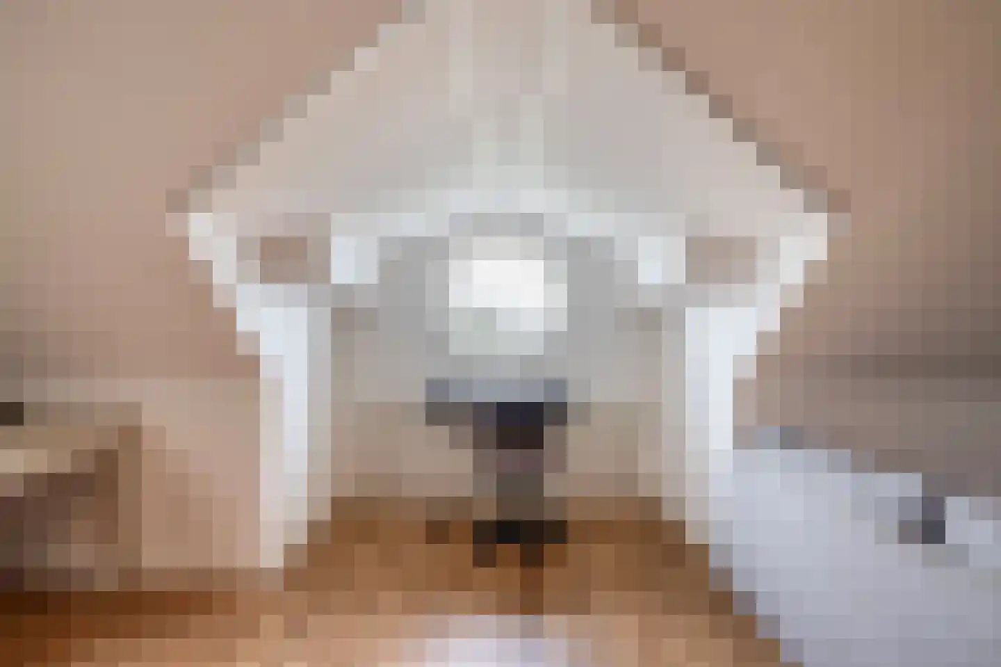 Koningin Beatrixlaan 66 Slootdorp thumbnail 57