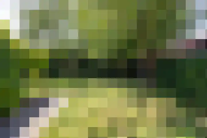 Koningin Beatrixlaan 7 Leusden thumbnail 11