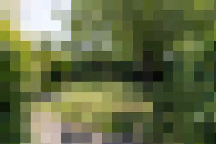Koningin Beatrixlaan 7 Leusden thumbnail 12