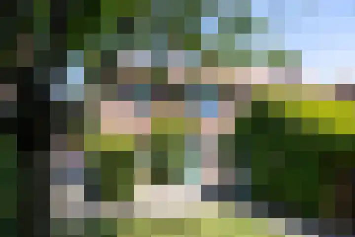 Koningin Beatrixlaan 7 Leusden thumbnail 15