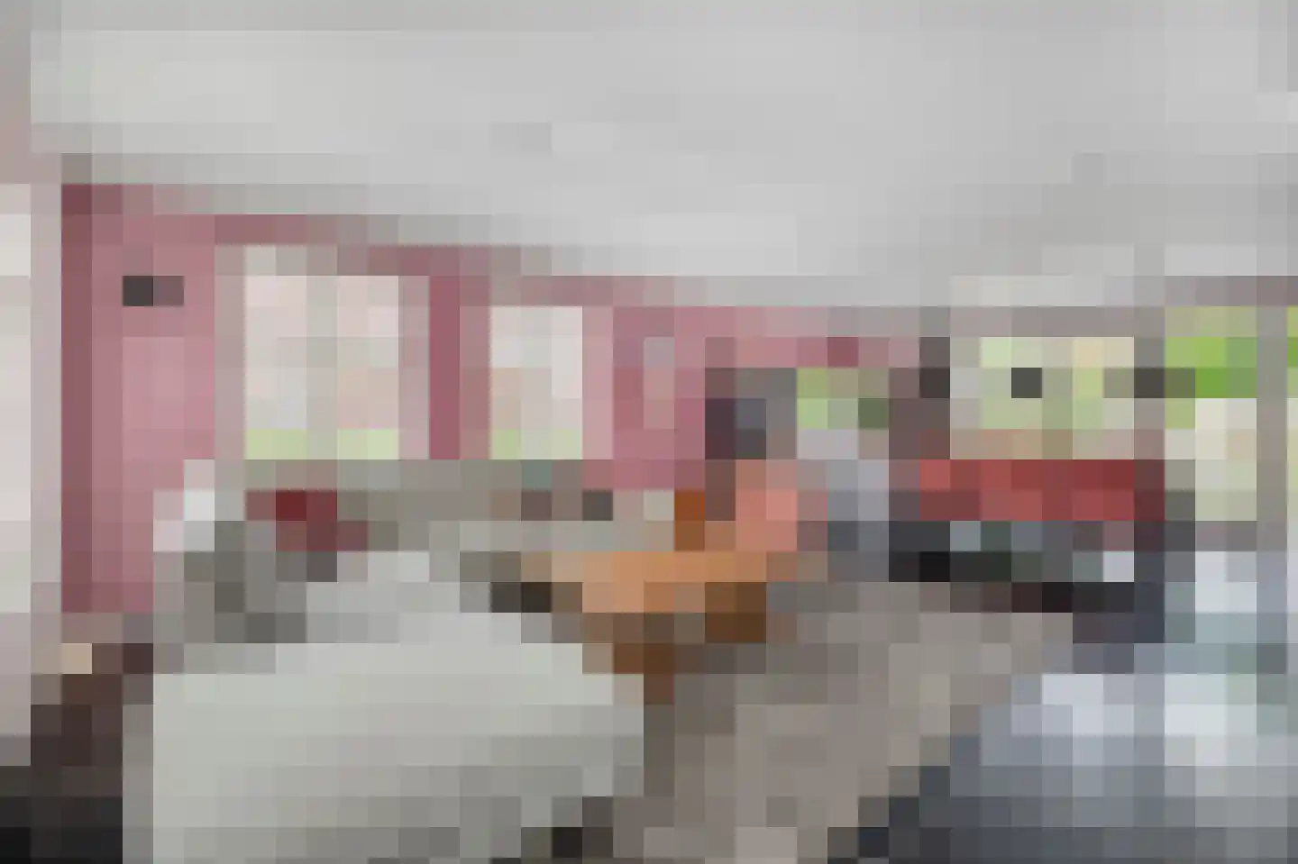 Koningin Beatrixlaan 74 Slootdorp thumbnail 13