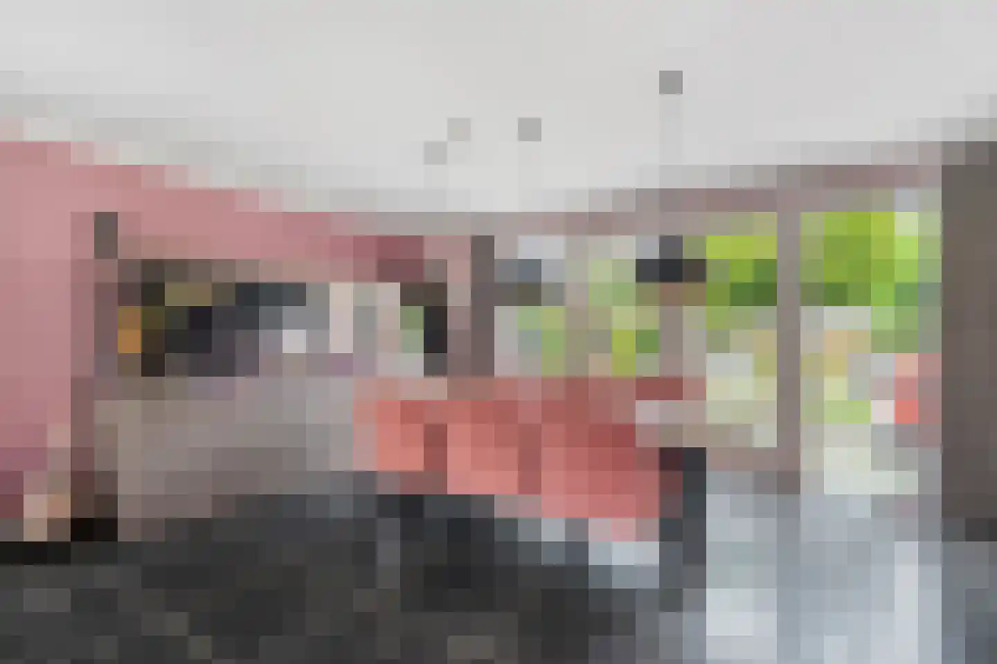 Koningin Beatrixlaan 74 Slootdorp thumbnail 16