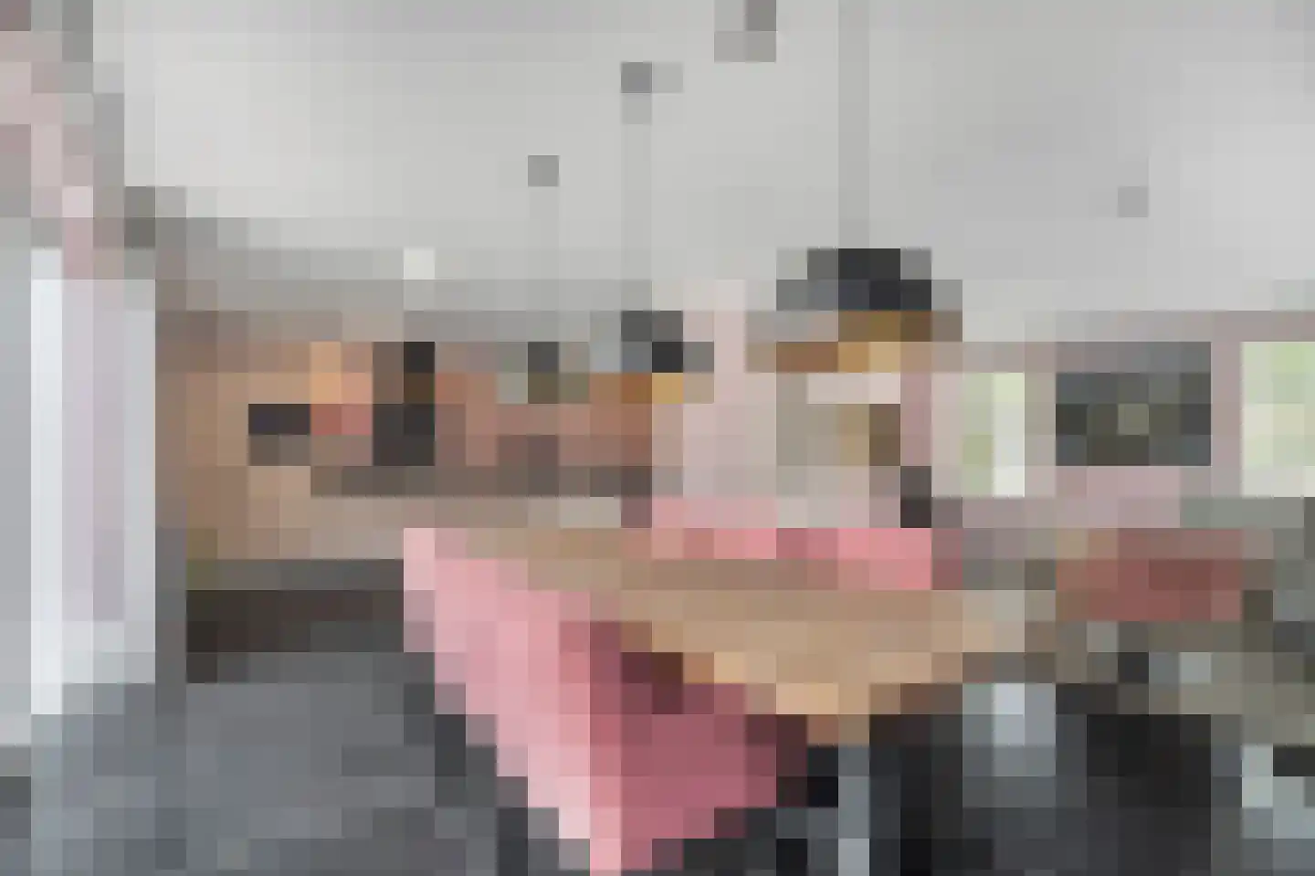 Koningin Beatrixlaan 74 Slootdorp thumbnail 18