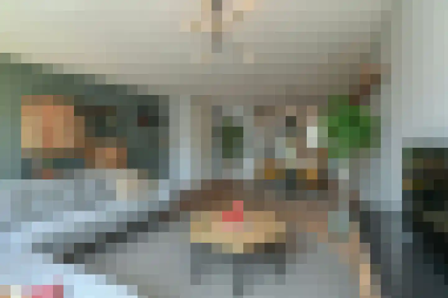 Koningin Beatrixstraat 11 Velp thumbnail 12
