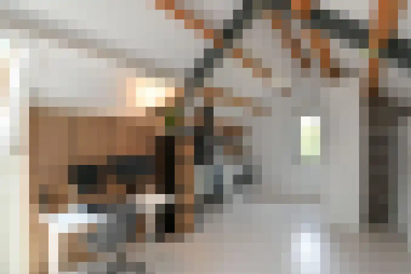 Koningin Beatrixstraat 11 Velp thumbnail 27