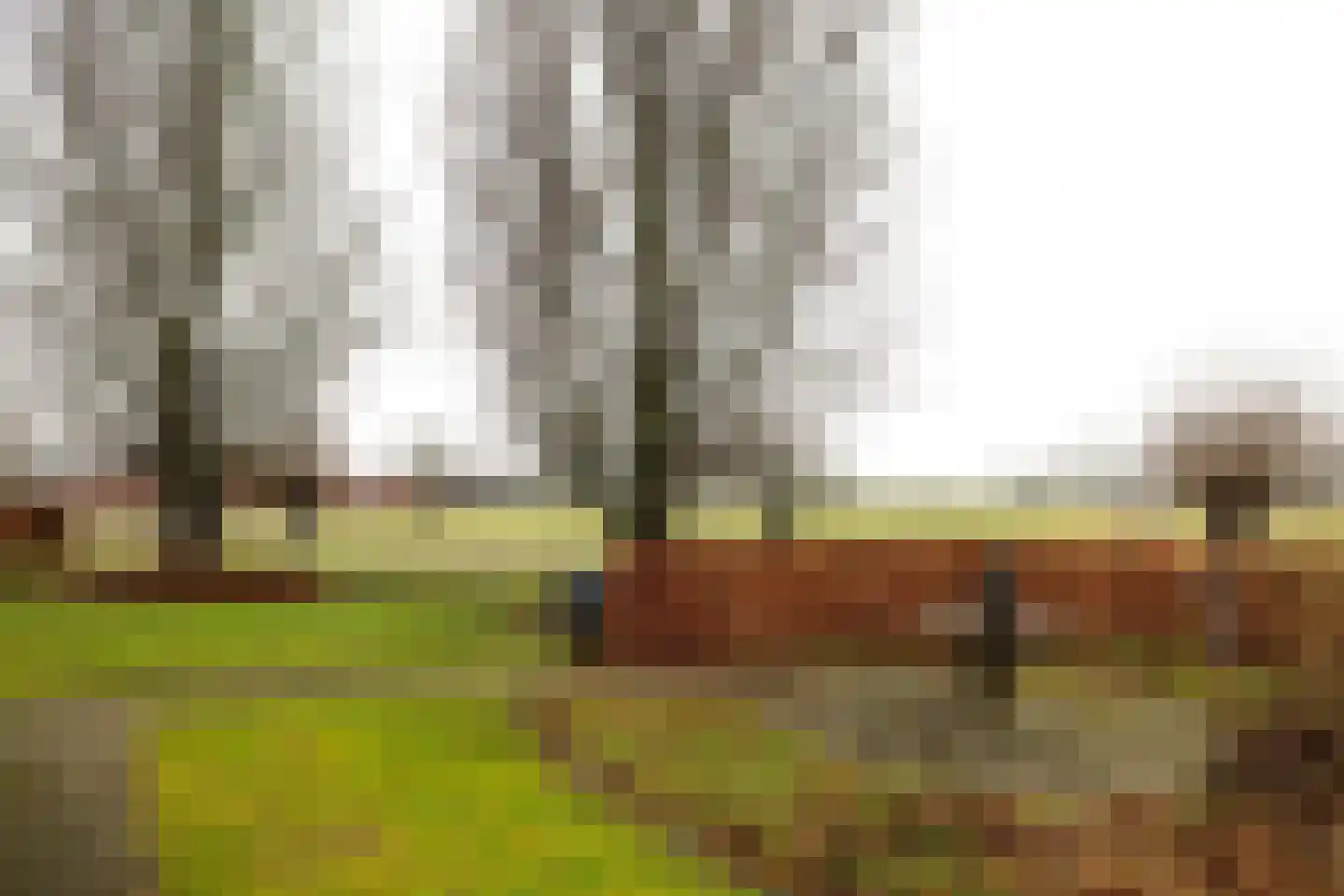 Koningin Beatrixstraat 25 Nunspeet thumbnail 10
