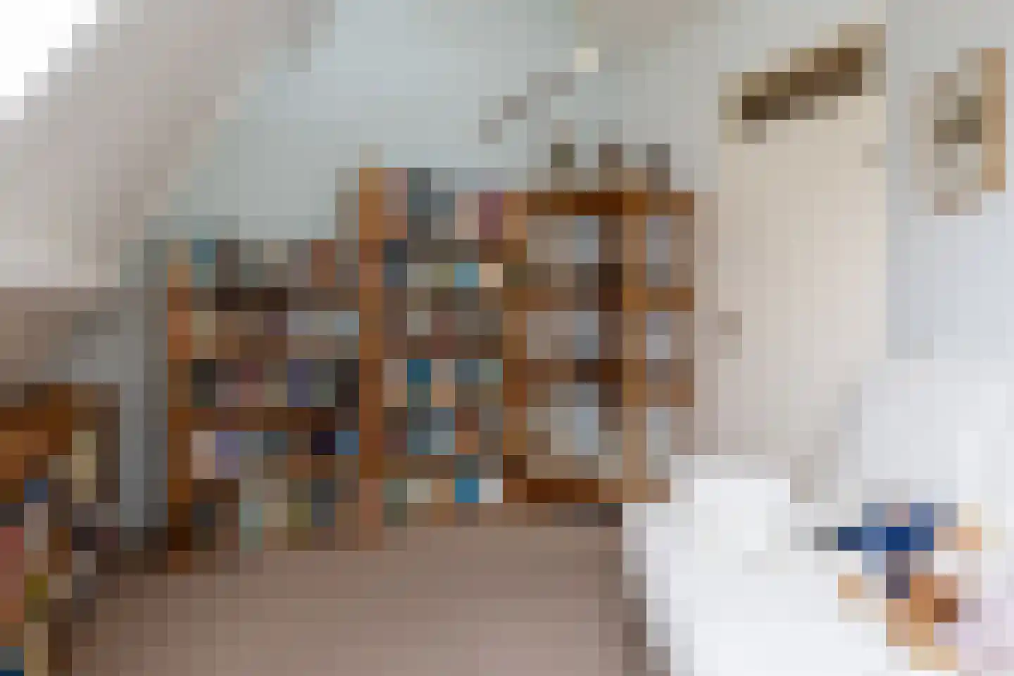 Koningin Beatrixstraat 25 Nunspeet thumbnail 39