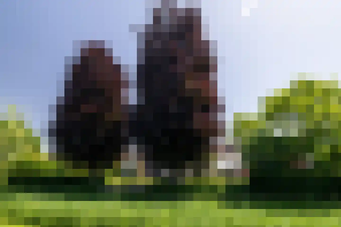 Koningin Beatrixstraat 25 Nunspeet thumbnail 46