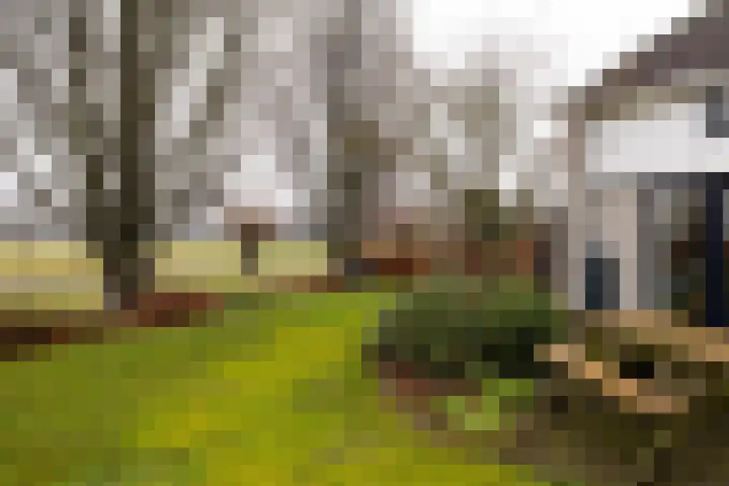 Koningin Beatrixstraat 25 Nunspeet thumbnail 8