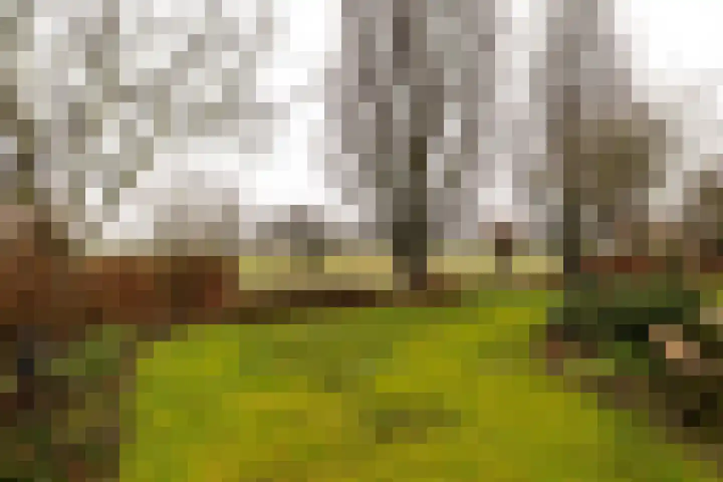 Koningin Beatrixstraat 25 Nunspeet thumbnail 9