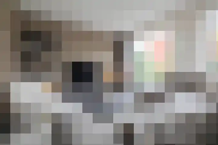 Koningin Beatrixstraat 29 Velp thumbnail 12