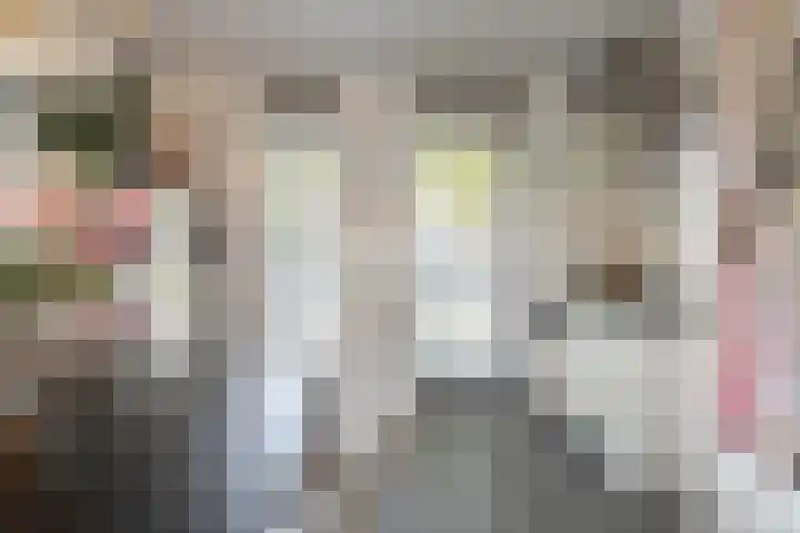 Koningin Beatrixstraat 29 Velp thumbnail 15