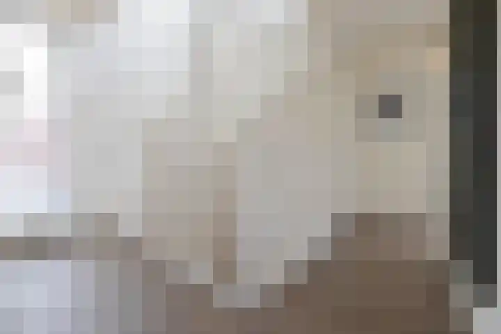 Koningin Beatrixstraat 29 Velp thumbnail 18