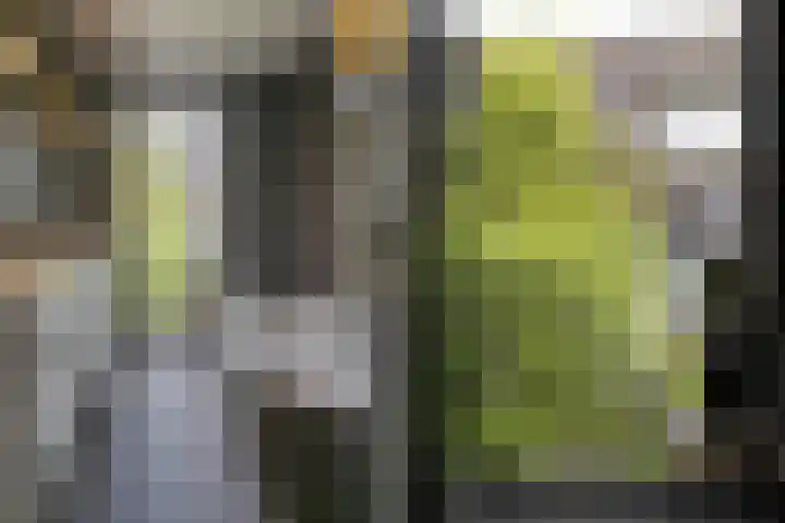 Koningin Beatrixstraat 29 Velp thumbnail 26