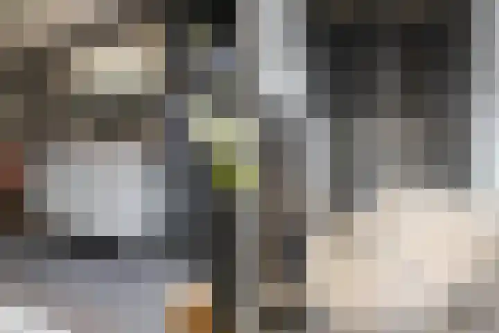 Koningin Beatrixstraat 29 Velp thumbnail 28