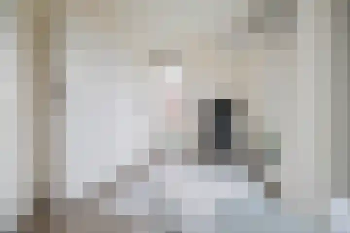 Koningin Beatrixstraat 29 Velp thumbnail 30