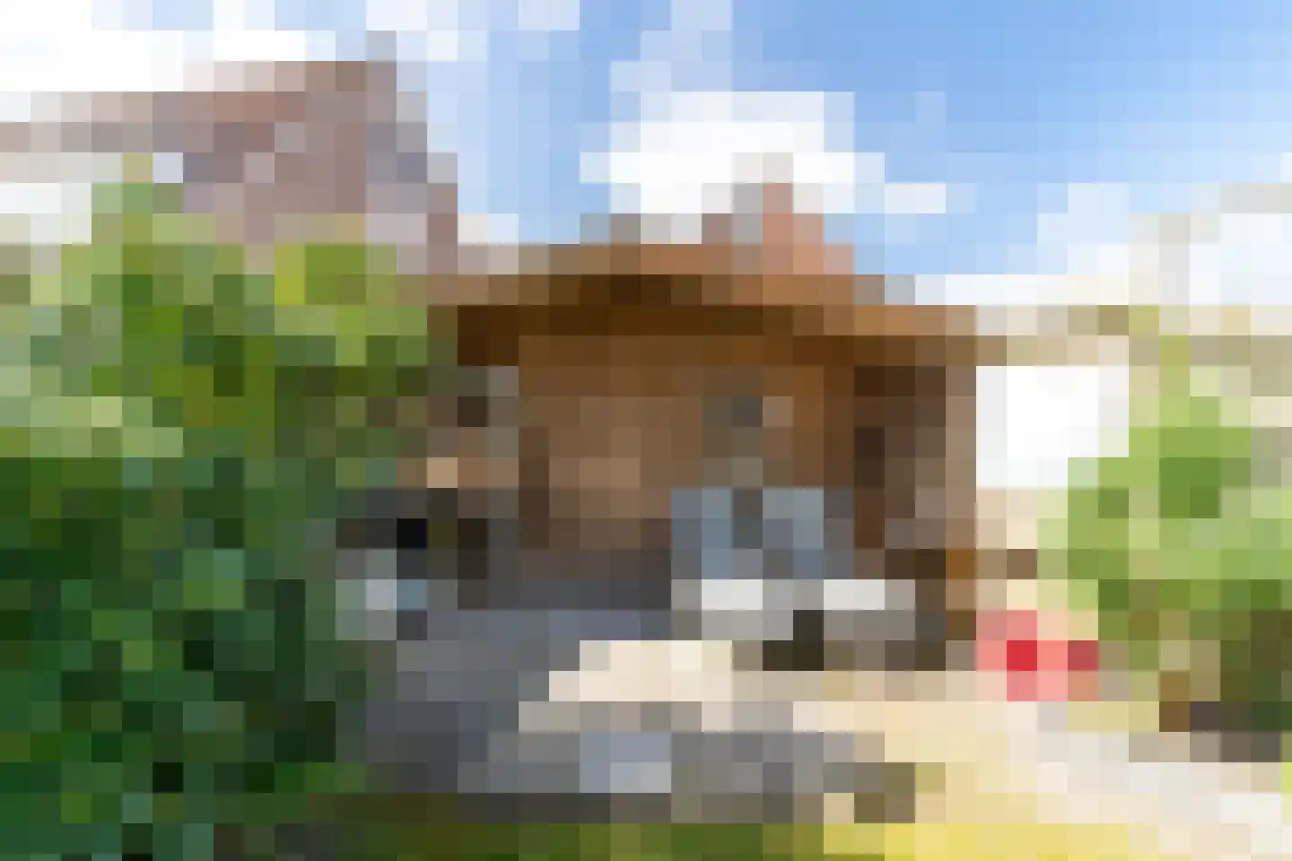 Koningin Beatrixstraat 40 Nunspeet thumbnail 32