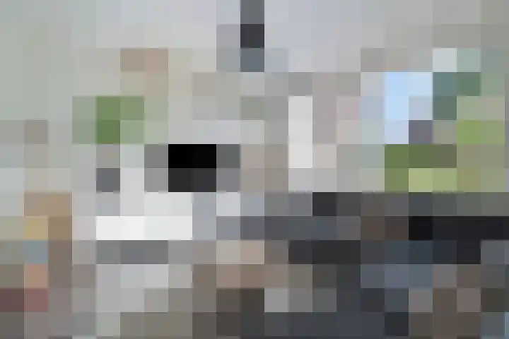 Koningin Beatrixstraat 7 Nunspeet thumbnail 10