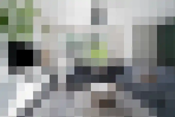 Koningin Beatrixstraat 7 Nunspeet thumbnail 11