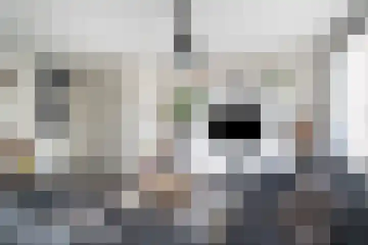 Koningin Beatrixstraat 7 Nunspeet thumbnail 13