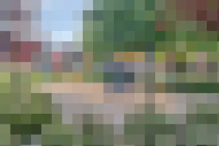 Koningin Beatrixstraat 7 Nunspeet thumbnail 39