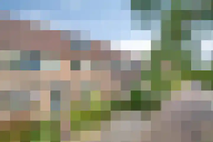 Koningin Beatrixstraat 7 Nunspeet thumbnail 7