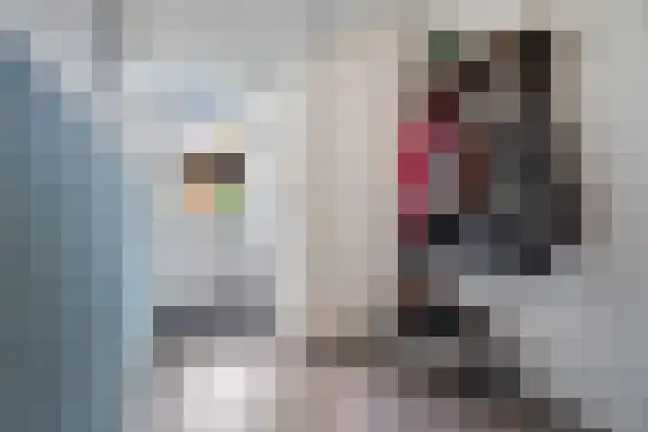 Koningin Beatrixstraat 7 Nunspeet thumbnail 9