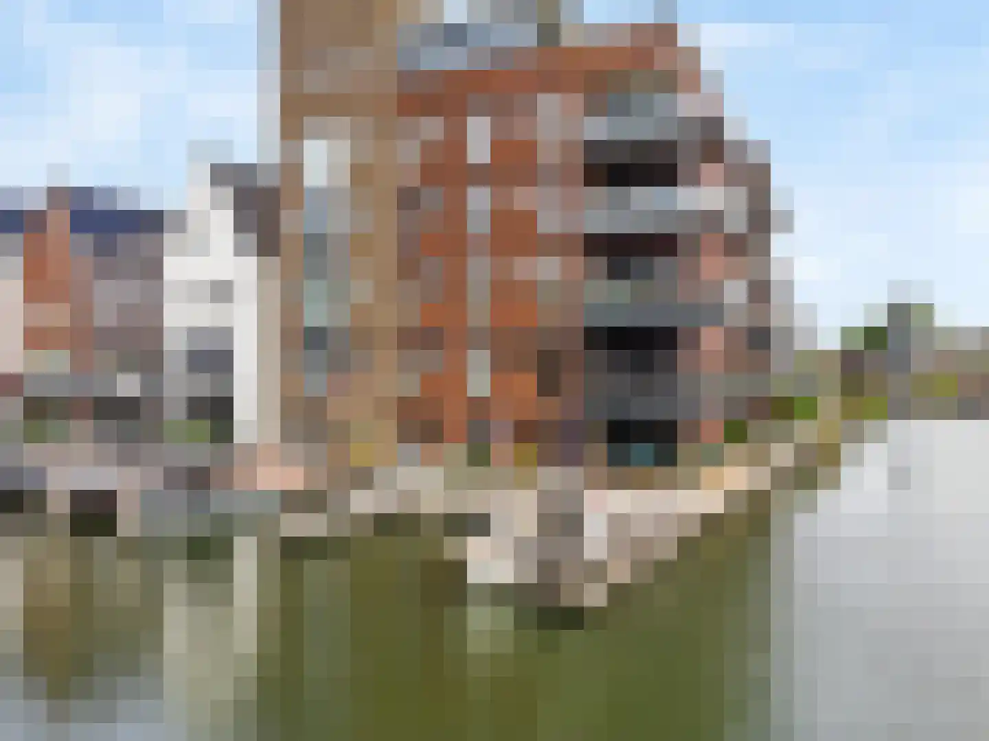 Koningin Emmahof 5 IJsselstein thumbnail 17