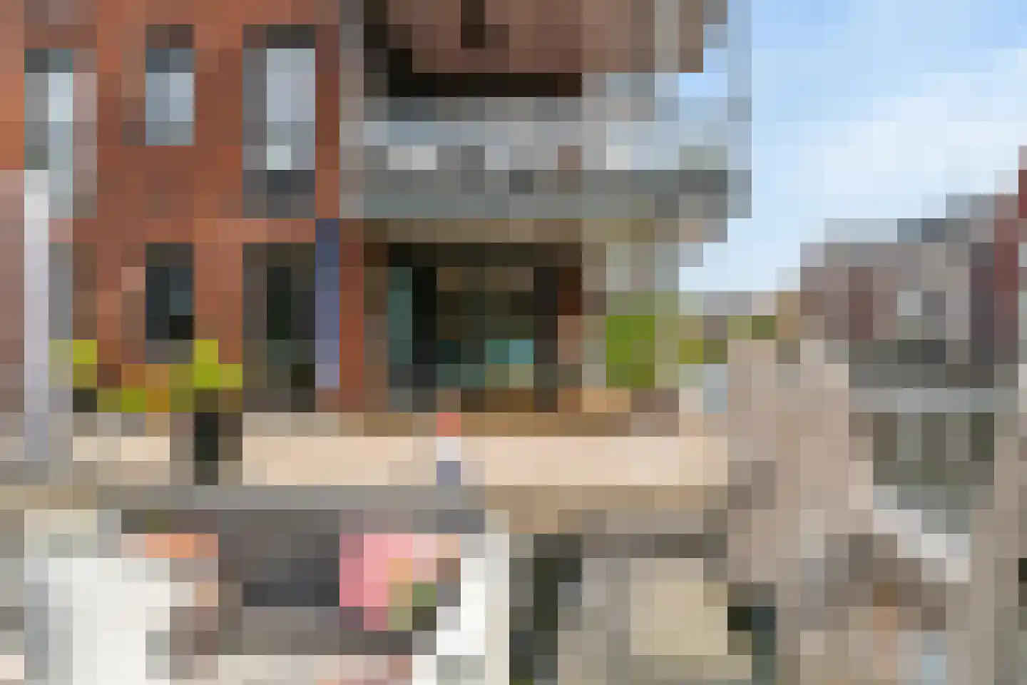Koningin Emmahof 5 IJsselstein thumbnail 5