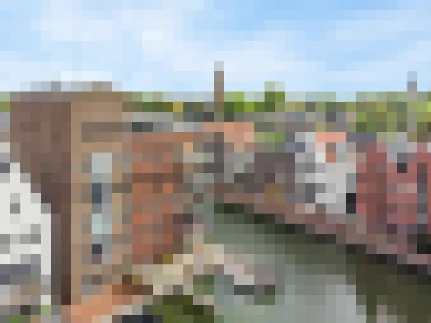 Koningin Emmahof 5 IJsselstein thumbnail 50