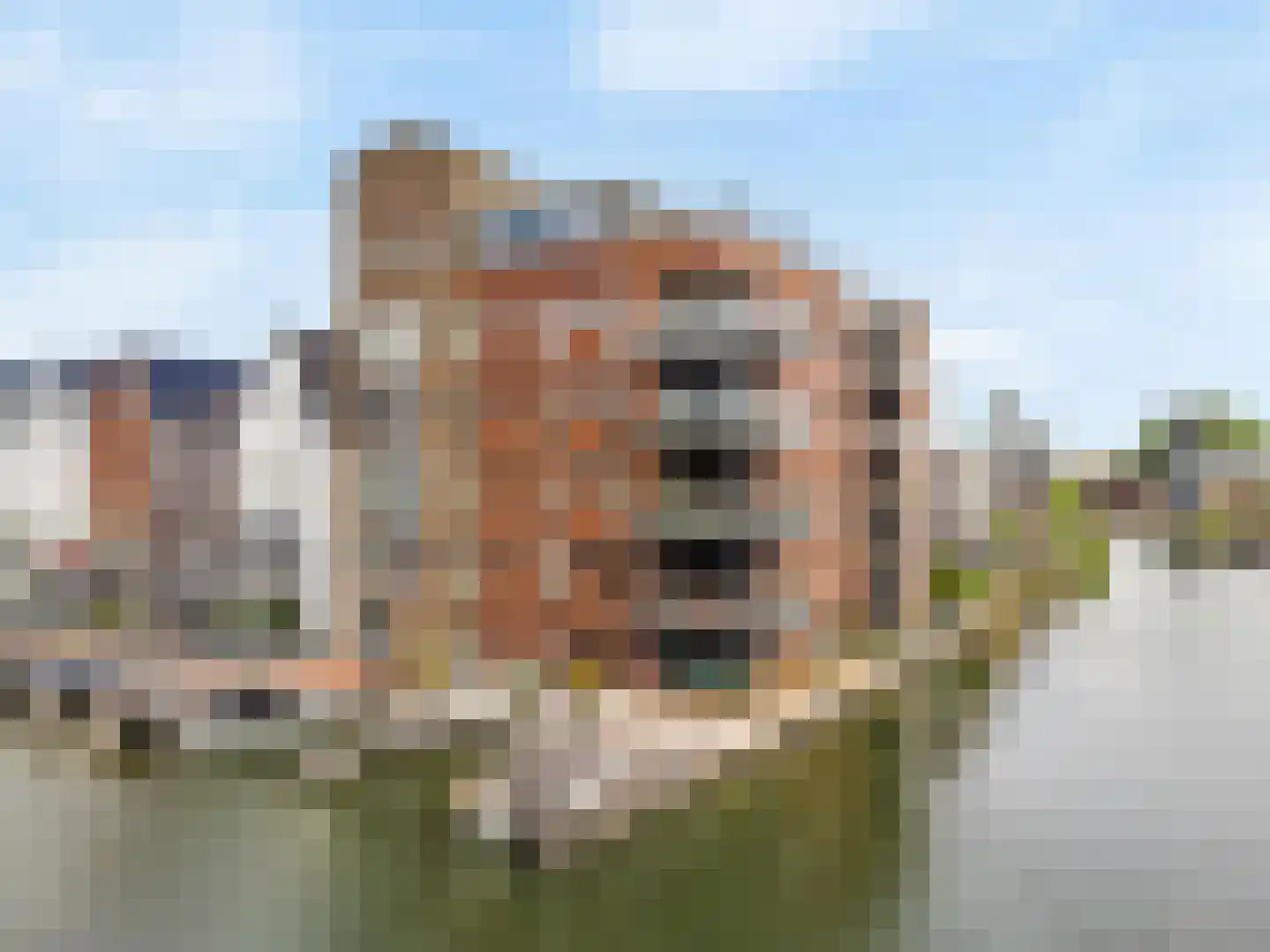 Koningin Emmahof 5 IJsselstein thumbnail 51