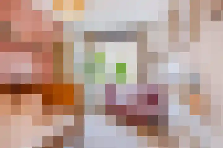 Koningin Emmakade 123 Den Haag thumbnail 18