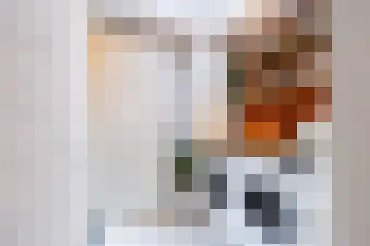 Koningin Emmakade 123 Den Haag thumbnail 24