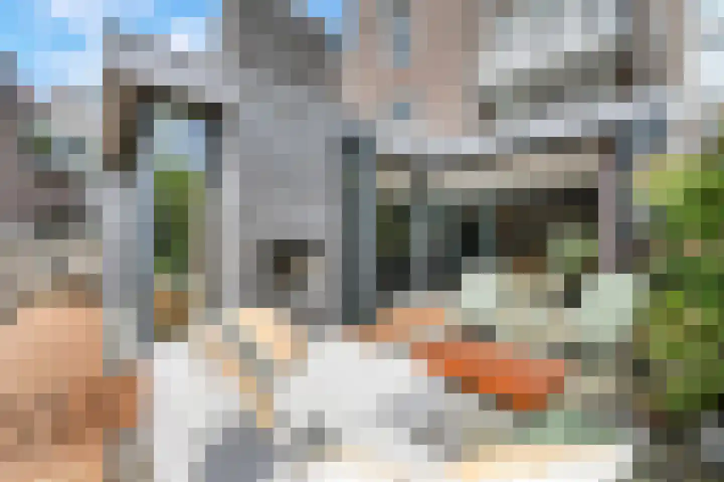 Koningin Emmakade 155 A Den Haag thumbnail 46