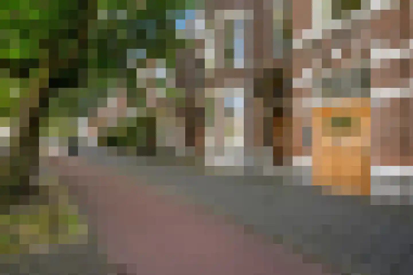 Koningin Emmakade 155 A Den Haag thumbnail 7