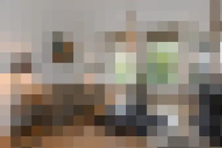 Koningin Emmakade 182 Den Haag thumbnail 15