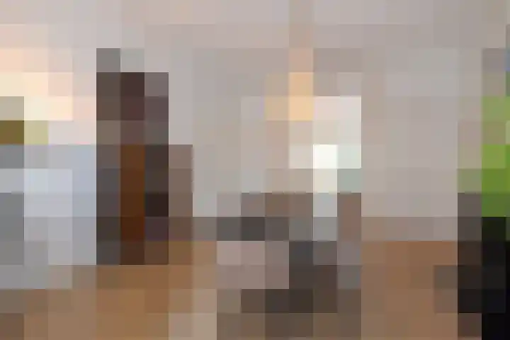 Koningin Emmakade 182 Den Haag thumbnail 17