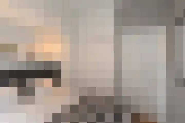 Koningin Emmakade 182 Den Haag thumbnail 27