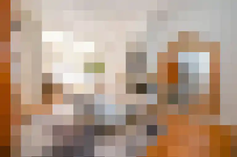 Koningin Emmakade 185 Den Haag thumbnail 10