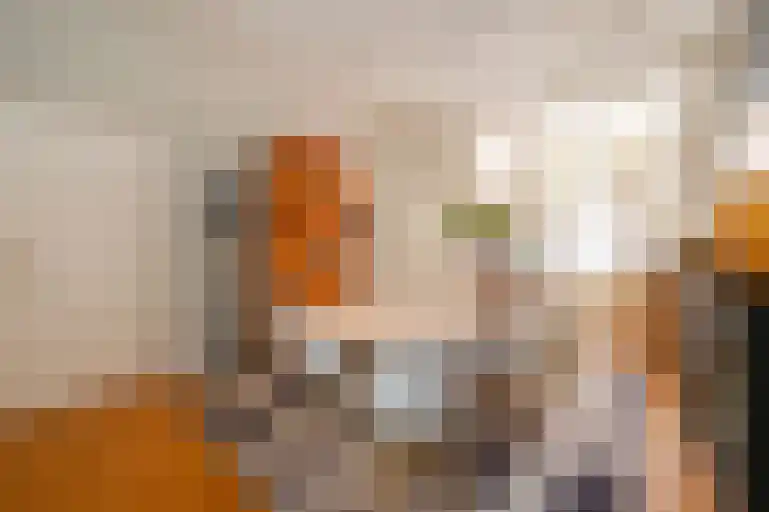 Koningin Emmakade 185 Den Haag thumbnail 11