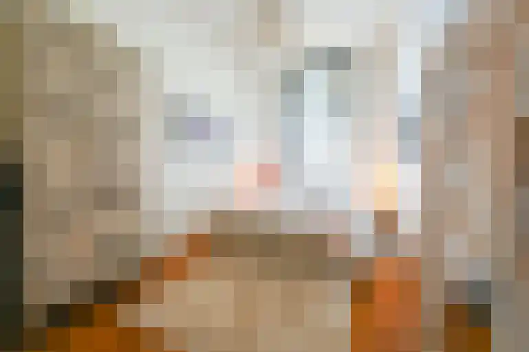 Koningin Emmakade 185 Den Haag thumbnail 17