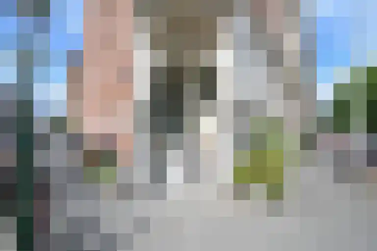 Koningin Emmakade 185 Den Haag thumbnail 6