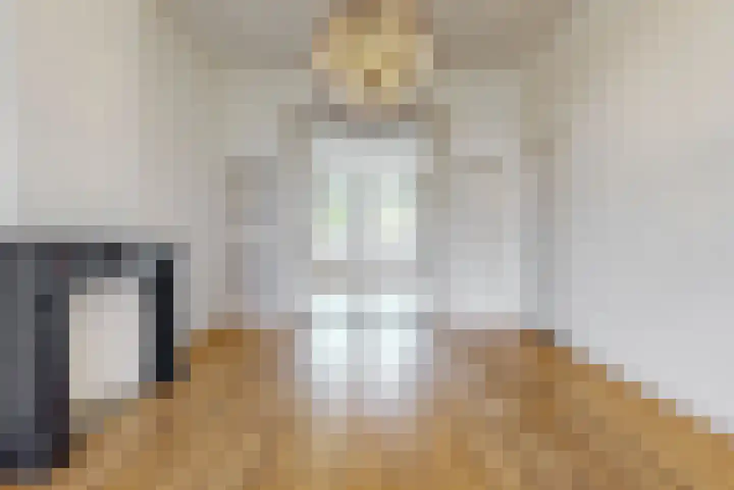 Koningin Emmakade 189 Den Haag thumbnail 5